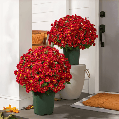 🏆Flash Sale⚡ 50K+ SOLD! 🌼Artificial Outdoor Sunset Mums Flowers