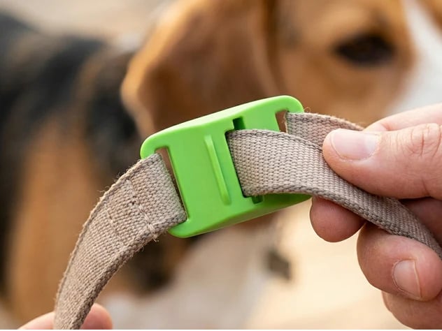 ⏰Last Day 66% OFF-🐕12 Months Flea and Tick Free