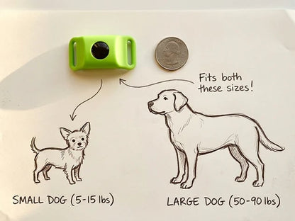 ⏰Last Day 66% OFF-🐕12 Months Flea and Tick Free
