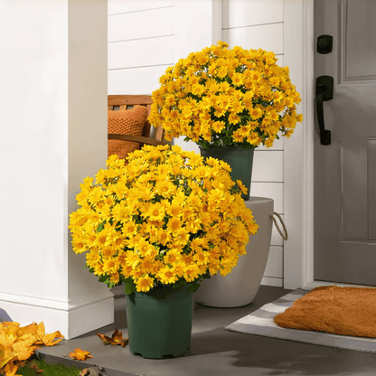 🏆Flash Sale⚡ 50K+ SOLD! 🌼Artificial Outdoor Sunset Mums Flowers