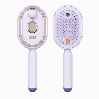 🖤2026 New Year · 50% OFF🖤Moisture Spray Hair Massage Comb