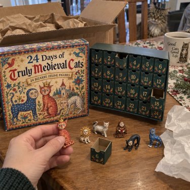 50% OFF | 🐈🏰 24 Days of Ugly Medieval Cats Advent Calendar – 24 Funny Feline Collectibles ✨