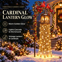 Cardinal Lantern Glow