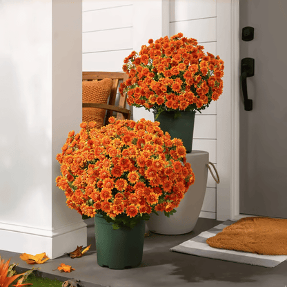 🏆Flash Sale⚡ 50K+ SOLD! 🌼Artificial Outdoor Sunset Mums Flowers