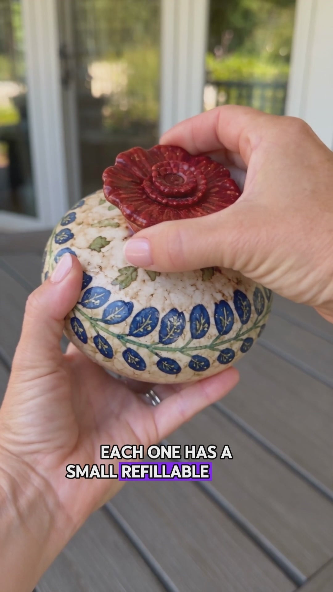 Hummingbird garden video 3 preview