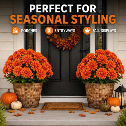 🍂 Last Day 70% OFF — Vibrant Faux Dahlia Fall Porch Planter Filler