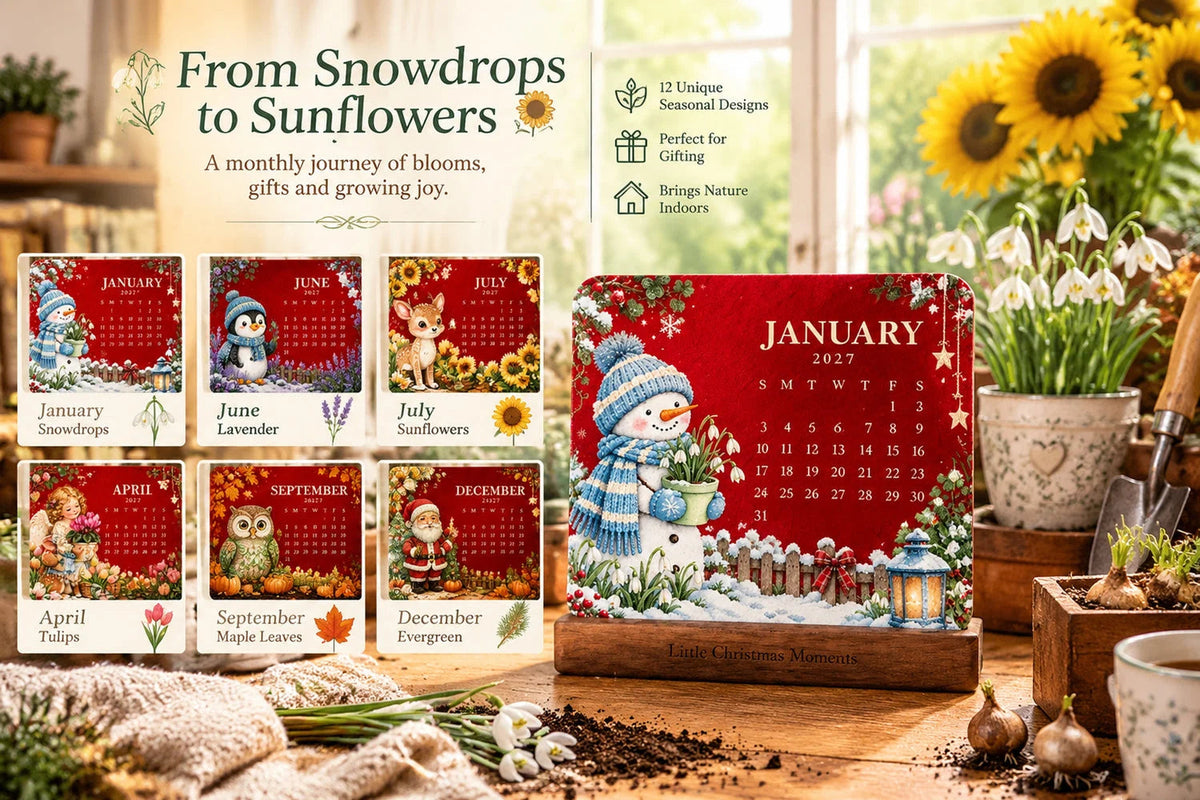 Christmas Plantable Seed Calendar 2027 – 12 Monthly Cards – view 4