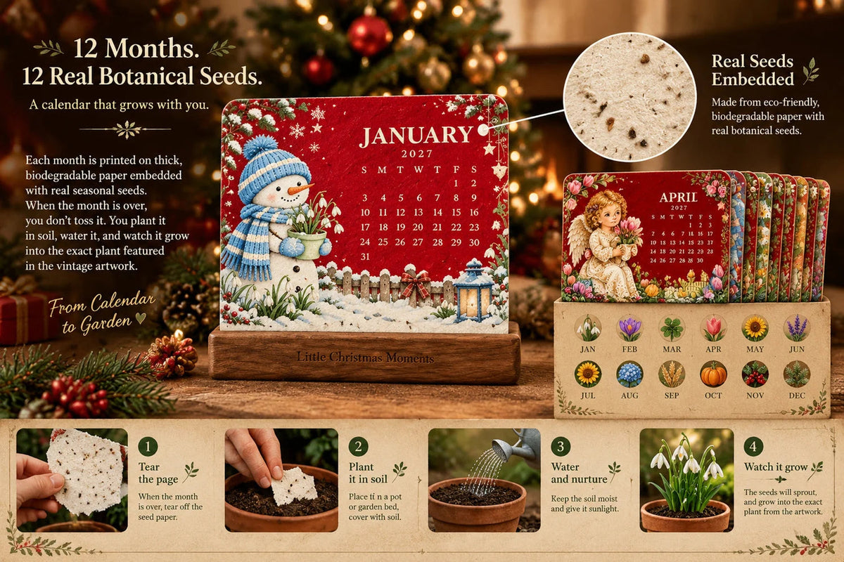 Christmas Plantable Seed Calendar 2027 – 12 Monthly Cards – view 5