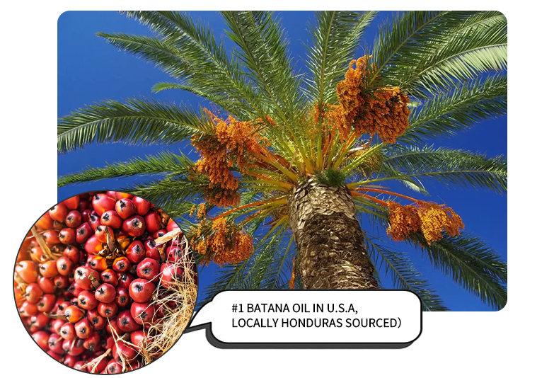 353f102e-6160-492f-88f1-3e3961025176.png